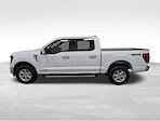 New 2025 Ford F-150 XLT SuperCrew Cab for sale #251735 - photo 3