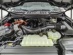 New 2025 Ford F-150 XLT SuperCrew Cab for sale #251762 - photo 10