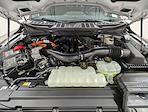 New 2025 Ford F-150 XLT SuperCrew Cab for sale #251763 - photo 10