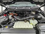 New 2025 Ford F-150 XLT SuperCrew Cab for sale #251764 - photo 10