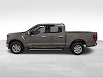 New 2025 Ford F-150 XLT SuperCrew Cab for sale #251766 - photo 3