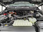 New 2025 Ford F-150 XLT SuperCrew Cab for sale #251766 - photo 10