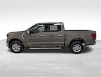 New 2025 Ford F-150 XLT SuperCrew Cab for sale #251767 - photo 3