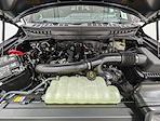 2025 Ford F-150 SuperCrew Cab 4WD Pickup for sale #251817 - photo 10
