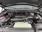 New 2025 Ford F-150 Raptor SuperCrew Cab for sale #251833 - photo 10