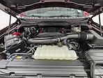New 2025 Ford F-150 Raptor SuperCrew Cab for sale #251842 - photo 11