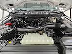 2025 Ford F-150 SuperCrew Cab 4WD Pickup for sale #251843 - photo 10