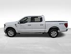 New 2025 Ford F-150 XLT SuperCrew Cab for sale #251849 - photo 3