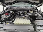 New 2025 Ford F-150 STX SuperCrew Cab for sale #251867 - photo 10
