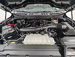 New 2026 Ford F-150 XLT SuperCrew Cab for sale #260454 - photo 11