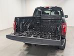 New 2026 Ford F-150 XLT SuperCrew Cab for sale #260454 - photo 9