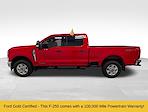Used 2025 Ford F-250 XLT Crew Cab for sale #260054B - photo 3