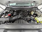 New 2026 Ford F-250 XL Regular Cab for sale #260176 - photo 11