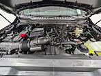 New 2026 Ford F-250 XLT Crew Cab for sale #260256 - photo 10