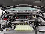 New 2026 Ford F-150 Raptor SuperCrew Cab for sale #260341 - photo 11