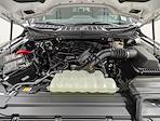New 2026 Ford F-150 XLT SuperCrew Cab for sale #260347 - photo 11