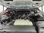 New 2026 Ford F-150 XLT SuperCrew Cab for sale #260350 - photo 11