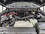 2024 Ford F-150 SuperCrew Cab 4WD Pickup for sale #260362A - photo 12