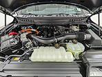 2026 Ford F-150 SuperCrew Cab 4WD Pickup for sale #260375 - photo 11