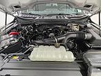 New 2026 Ford F-150 STX SuperCrew Cab for sale #260380 - photo 11