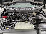New 2026 Ford F-150 STX SuperCrew Cab for sale #260381 - photo 11