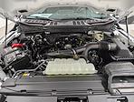 New 2026 Ford F-150 XL Regular Cab for sale #260383 - photo 11