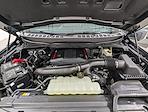 2026 Ford F-150 SuperCrew Cab 4WD Pickup for sale #260386 - photo 11