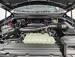 New 2026 Ford F-150 Raptor SuperCrew Cab for sale #260387 - photo 11