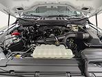 New 2026 Ford F-150 STX SuperCrew Cab for sale #260405 - photo 11