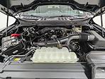 New 2026 Ford F-150 STX SuperCrew Cab for sale #260406 - photo 11