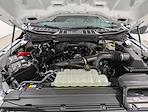 New 2026 Ford F-150 STX SuperCrew Cab for sale #260408 - photo 11
