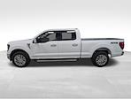 New 2026 Ford F-150 XLT SuperCrew Cab for sale #260412 - photo 3