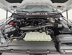 New 2026 Ford F-150 XLT SuperCrew Cab for sale #260412 - photo 11