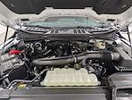 New 2026 Ford F-150 XLT SuperCrew Cab for sale #260413 - photo 11