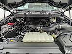 New 2026 Ford F-150 XL Regular Cab for sale #260439 - photo 11