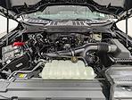 New 2026 Ford F-150 STX SuperCrew Cab for sale #260474 - photo 11
