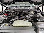 2026 Ford F-150 SuperCrew Cab 4WD Pickup for sale #260475 - photo 11