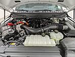 New 2025 Ford F-150 Platinum SuperCrew Cab for sale #C50347 - photo 11