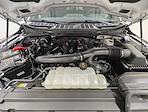 New 2025 Ford F-150 XLT SuperCrew Cab for sale #C51374 - photo 10