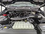 New 2025 Ford F-150 XLT SuperCrew Cab for sale #C51381 - photo 10