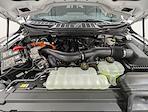 New 2025 Ford F-150 XLT SuperCrew Cab for sale #C51495 - photo 10