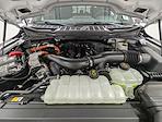 2025 Ford F-150 SuperCrew Cab 4WD Pickup for sale #C51515 - photo 11
