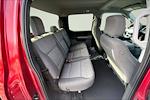 New 2026 Ford F-150 XLT SuperCrew Cab for sale #9700086 - photo 10