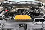 2017 Ford F-150 SuperCrew Cab 4WD Pickup for sale #9706828A - photo 29