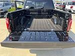 2025 Ford F-150 SuperCrew Cab 4WD Pickup for sale #9709924 - photo 17