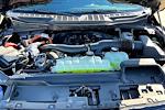 New 2025 Ford F-150 XLT SuperCrew Cab for sale #9734676 - photo 12