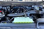 2025 Ford F-150 SuperCrew Cab 4WD Pickup for sale #9737366 - photo 14