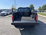 2025 Ford F-150 SuperCrew Cab 4WD Pickup for sale #9795079 - photo 23