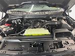 2025 Ford F-150 SuperCrew Cab 4WD Pickup for sale #525352 - photo 9