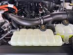 New 2026 Ford F-150 XLT SuperCrew Cab for sale #526057 - photo 6